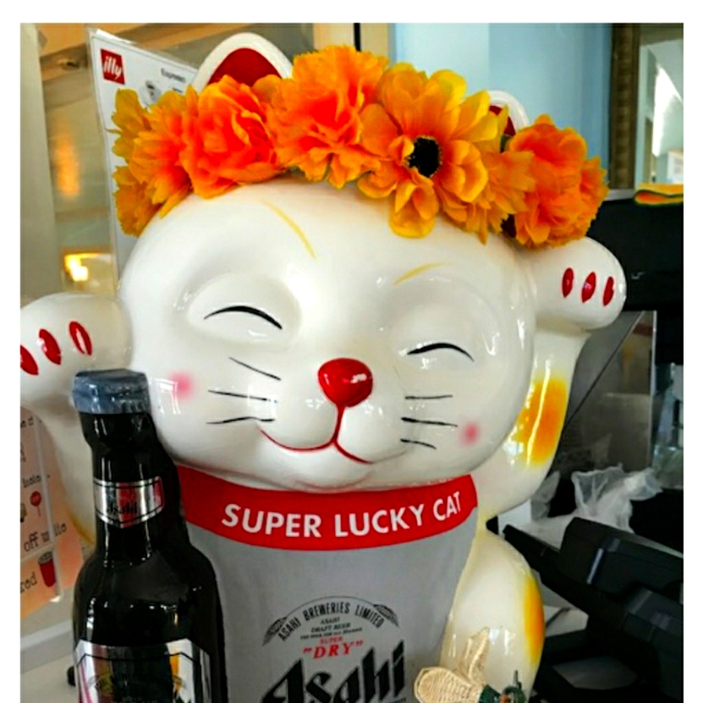 Meet your Posher, Mardee